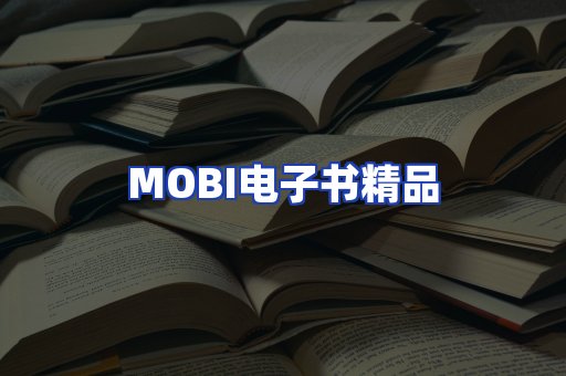 外文电子书产品